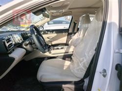 بي واي دي كوين L DM-i